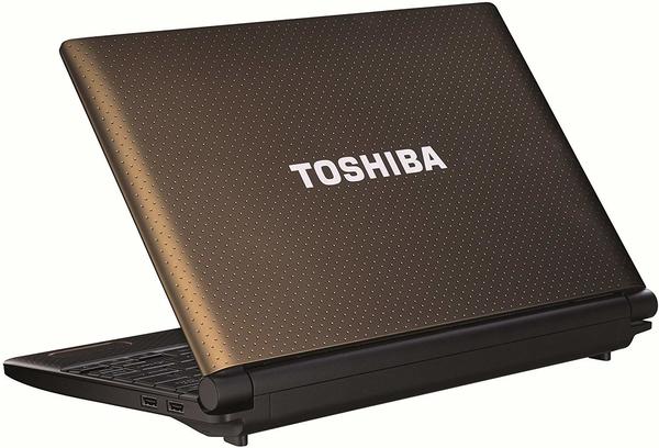 Toshiba NB550D-119