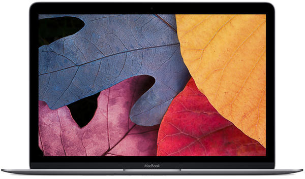 Apple MacBook 12 Zoll Retina MJY32D/A