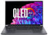 32 GB, grau, Intel Core Ultra 5 125H, Windows 11 Professional: Acer Swift X Pro SFX14-72