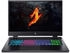 Acer Nitro 17 (AN17-42-R4GJ)