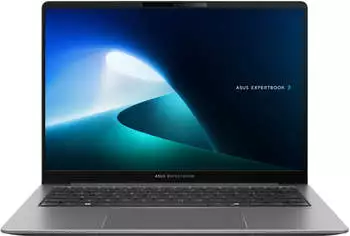 Asus ExpertBook P5 495CSA-NZ010