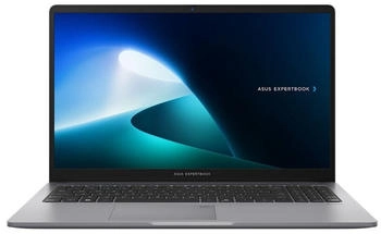 ASUS ExpertBook PM1 4718017293464