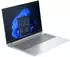 HP ProBook 460 G11