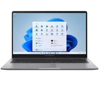 ASUS Expertbook P1 PM1503CDA-S70316X
