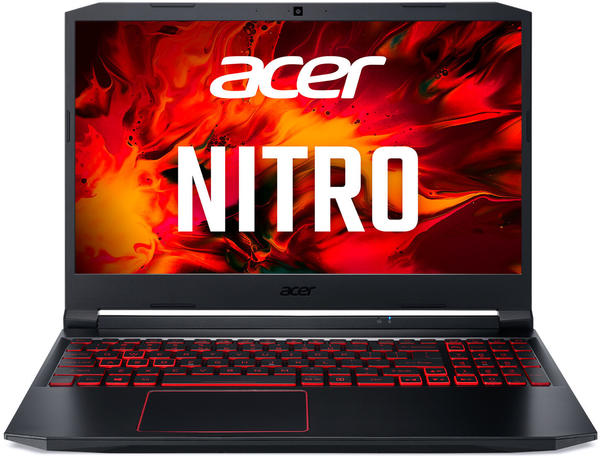 Acer Nitro 5 (AN515-55-5971)