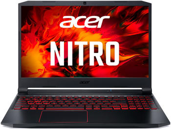 Acer Nitro 5 (AN515-55-76Z3)