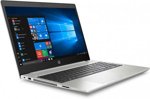Software & Grafik HP ProBook 455 G7 (175W8EA)