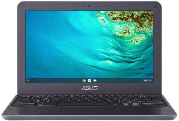 Asus Chromebook C202XA-GJ0064