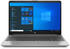 256 GB, 8 GB, AMD Ryzen 5 5500U, Full HD, grau, Windows 10 Professional: HP 255 G8