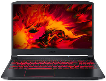 Acer Nitro 5 (AN515-55-521N)