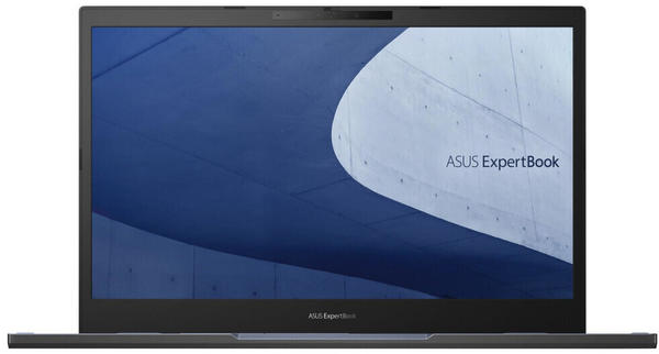 Asus ExpertBook B2 B2502CBA-KJ0459X