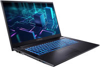 CAPTIVA Business-Notebook "Power Starter I76-095" 43,94 cm / 17,3 &Prime; Intel Core i7