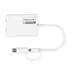 Roline Multi-DisplayLink Adapter USB Typ A+C 2X DP 4K (12033207)