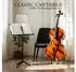 Classic Cantabile 12990 SM Orchesterleuchte für Notenpult ( : )