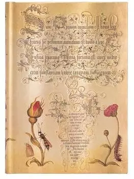 Paperblanks Hardcover Notizbuch Fl&auml;mische Rose, Midi, Liniert