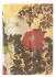 Paperblanks Hardcover Notizbuch Natsu, Midi, Unliniert