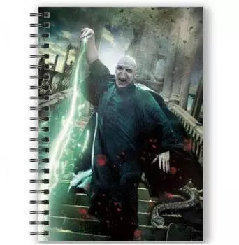 SD Toys Harry Potter Notizbuch Voldemort Poster 3D-Effekt (SD-SDTWRN25080)