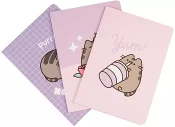 Erik Pusheen Moments Notizbücher A5, liniert/dotted/blanko, 3er-Pack (PCA5009)