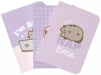 Erik Pusheen Notizbücher A6, 3er-Pack, gepunktet/blanko/liniert, Softcover, 64 Seiten (PCA6011)
