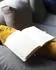 Rhodia Rhodiarama Notizbuch A5, Softcover, punktkariert, gold (117476C)