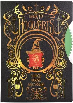 Blue Sky Studios Harry Potter "Spinner" Notizbuch, liniert, A5, 80 Bl&auml;tter (HP712824)