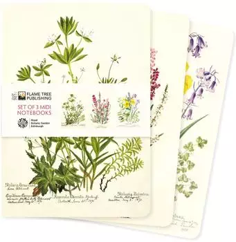 BrownTrout Royal Botanic Garden Edinburgh Dreier-Set Mittelformat-Notizbücher