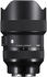 Sigma 14-24mm F2.8 DG DN Art