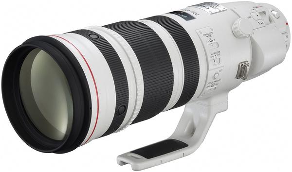 Canon EF 200-400mm f4L IS USM Extender 1.4x
