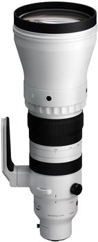 Sigma 300-600mm f4 DG OS Sports L-Mount
