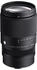 Sigma 16-300mm f3.5-6.7 DC OS Contemporary Sony E