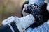 Sony 100-400mm f4.5 GM OSS
