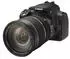 Canon EF-S 17-55mm f2.8 IS USM