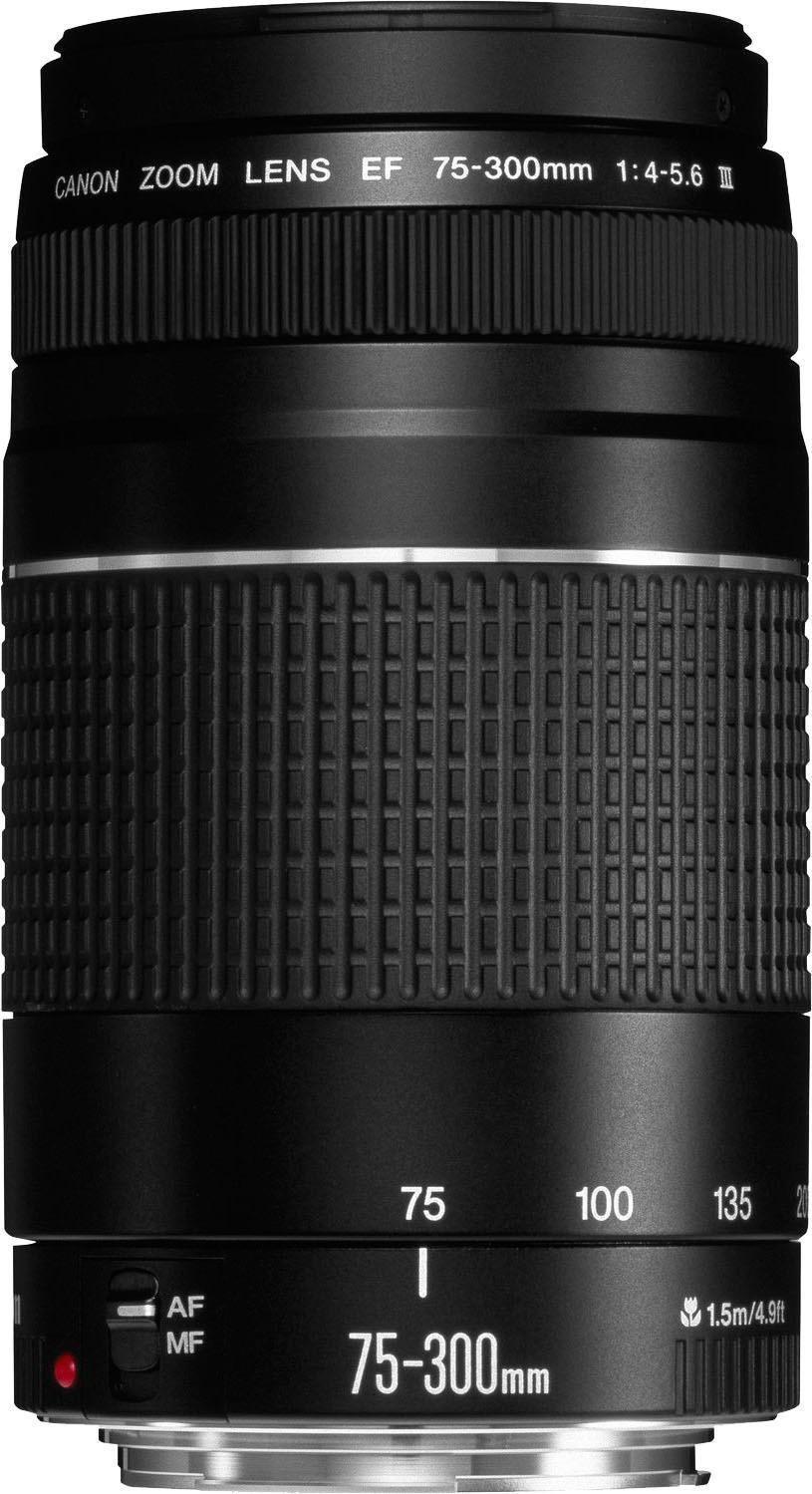 Canon Objektiv Ef 75 300Mm Test