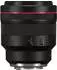 Canon RF 85mm f1.2 L USM DS (Defocus Smoothing)