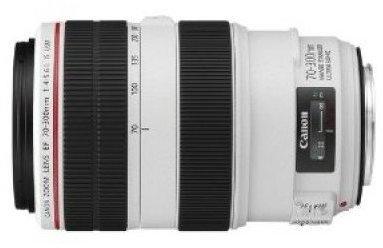 Canon EF 70-300mm f4-5.6 L IS Usm