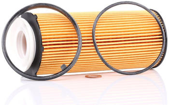 Meyle Ölfilter mit Dichtung für BMW 5 7 X5 3 X6 (314 322 0002)