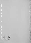 Exacompta Register grau Recycling-PP 31 nummerierte Taben 1-31 A4