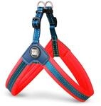 Max & Molly 4894512017863 Matrix Red Q-Fit Hundegeschirr Neopren Gepolstert Mit