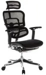 Drehstuhl Ergohuman Ultra G Gen 2 Grau