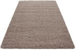Hochflorteppich Life Beige Braun/Beige ca. 240x340cm