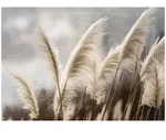 FOTOTAPETE Pampasgras Natur Beige 254x184 cm