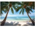 FOTOTAPETE 3D Effekt Strand Meer Hawaii Wohnzimmer 350x250