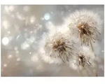 FOTOTAPETE Pusteblumen Blumen Beige 350x250 cm