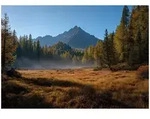 FOTOTAPETE Gebirge Wald Braun 150x105 cm