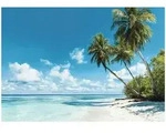 FOTOTAPETE 3D Effekt Strand Meer Palmen Hawaii 200x140