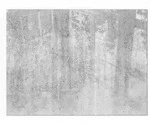 GLASPLATTE f&uuml;r Kamin 80x60 cm