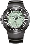 Citizen Promaster Professional Diver 300 BJ8055-04X