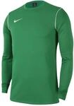 Nike FJ3004-302 M NK DF PARK20 Crew TOP R Sweatshirt Herren Pine Green/White/White