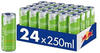 Red Bull Energy Drink Summer Edition 2024 Curuba-Holunderblüte - 24er Palette Dosen