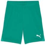 Puma teamGOAL Shorts, Unisex-Erwachsene Gestrickte Shorts, Sport Green-Puma...